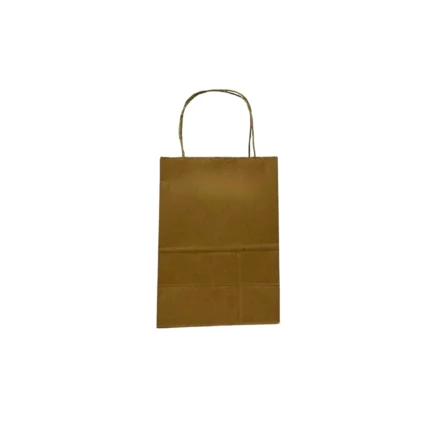 Brown Paper Bag, String Handle